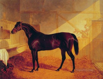 John Frederick Herring Sr Painting - Mr Johnstones Charles XII in a Stable Herring Snr John Frederick horse